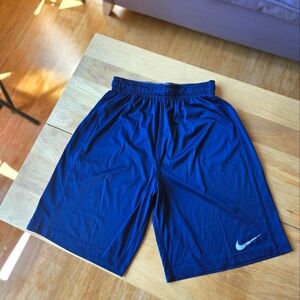 Nike Blue Athletic Shorts with Dri-FIT Technology, Size Medium